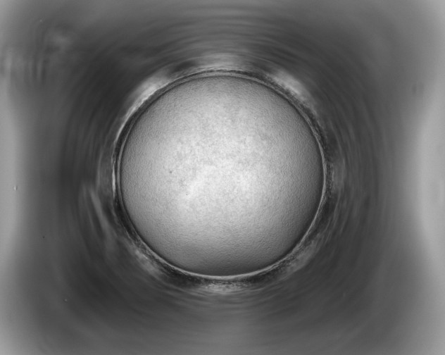 X0000087611274200704271334