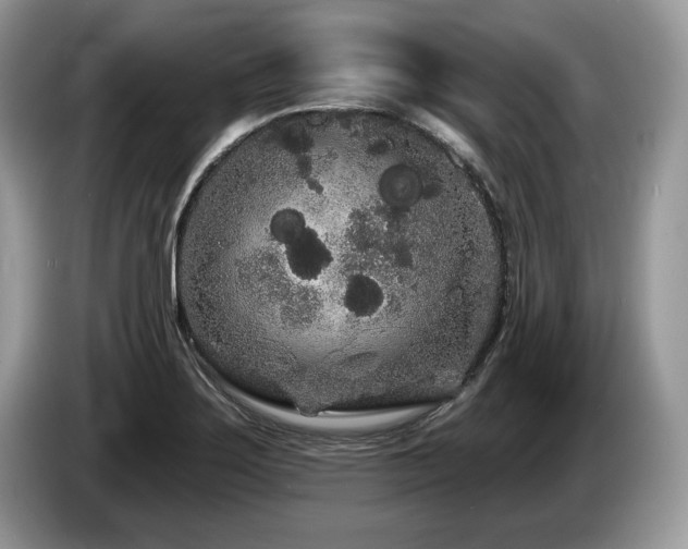 X0000087611275200704271334