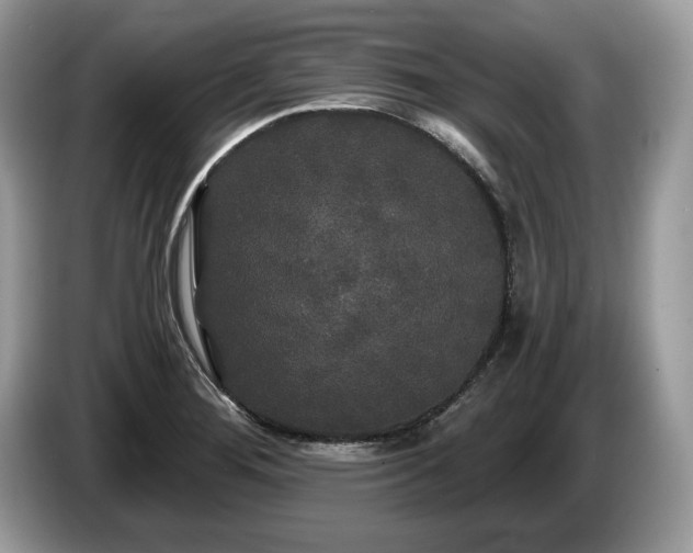 X0000087611276200704271334
