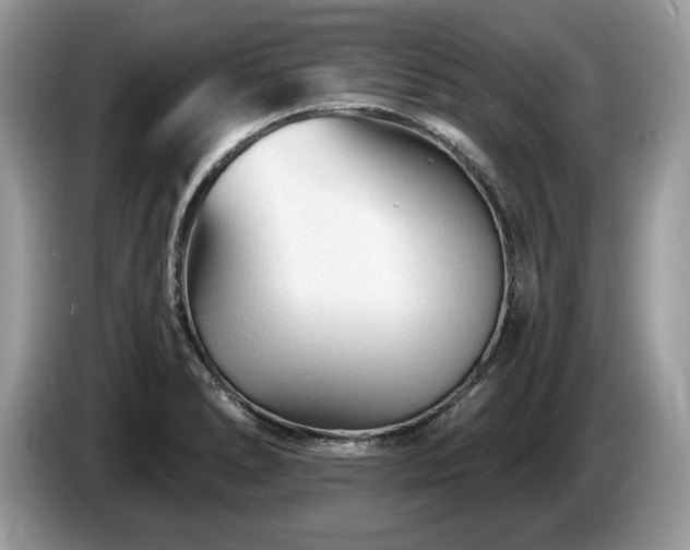 X0000087611278200704271334