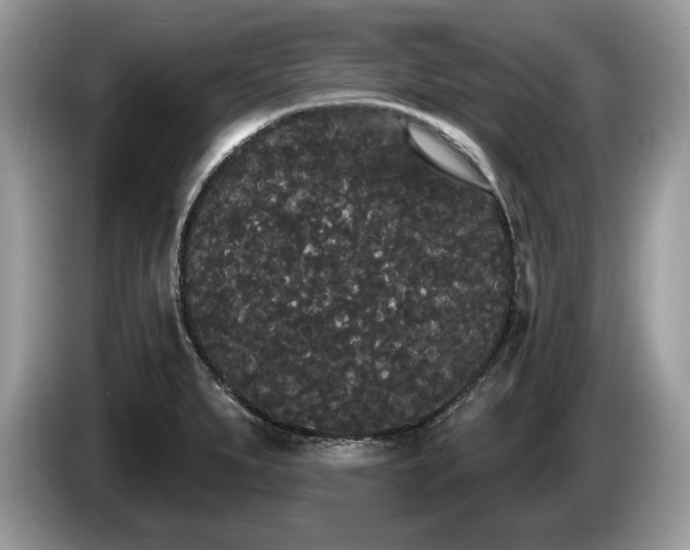 X0000087611279200704271334