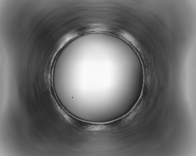 X0000087611282200704271334