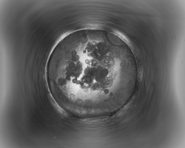 X0000087611283200704271334