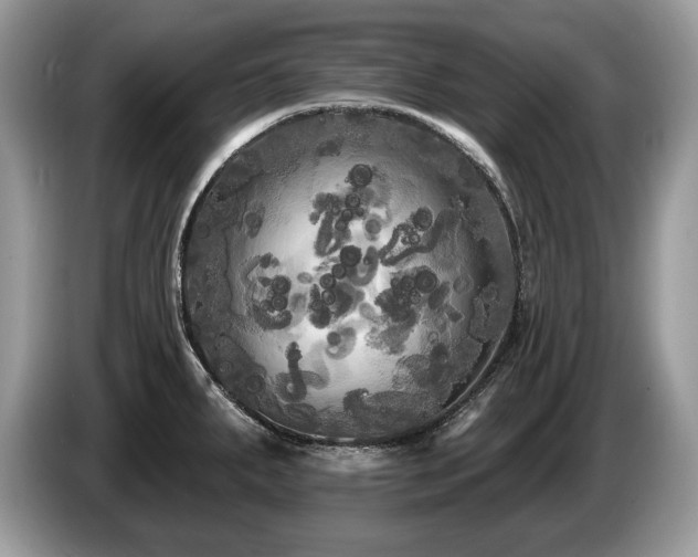 X0000087611287200704271334