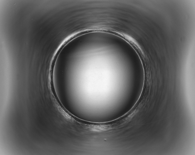 X0000087611288200704271334