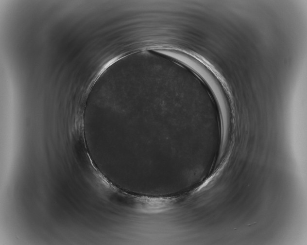 X0000087611289200704271334