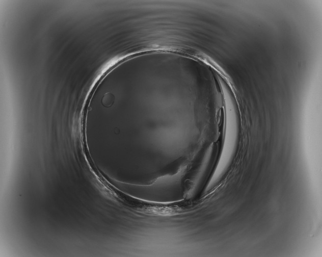 X0000087611291200704271334