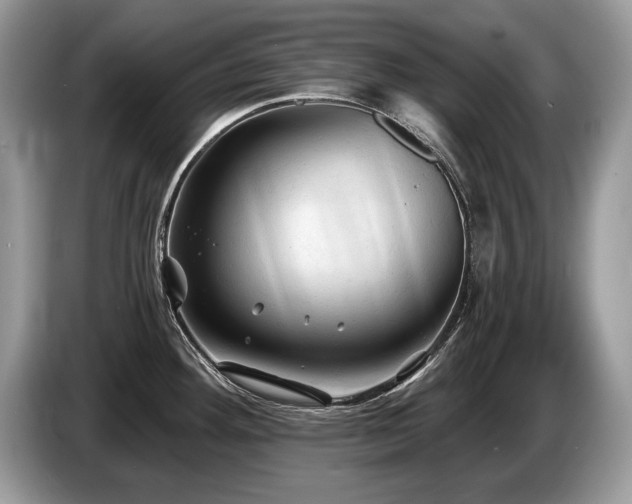 X0000087611292200704271334