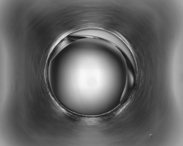 X0000087611293200704271334