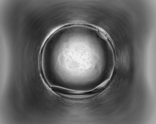 X0000087611295200704271334