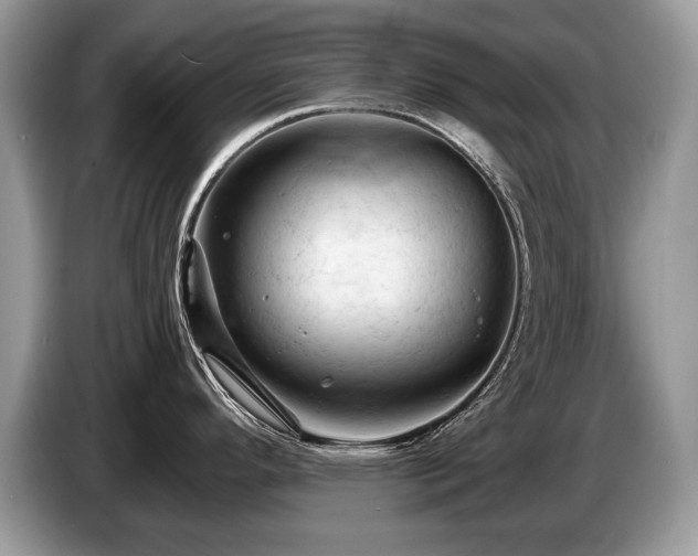 X0000087611296200704271334