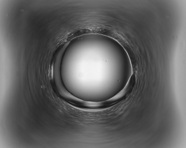 X0000087611298200704271333