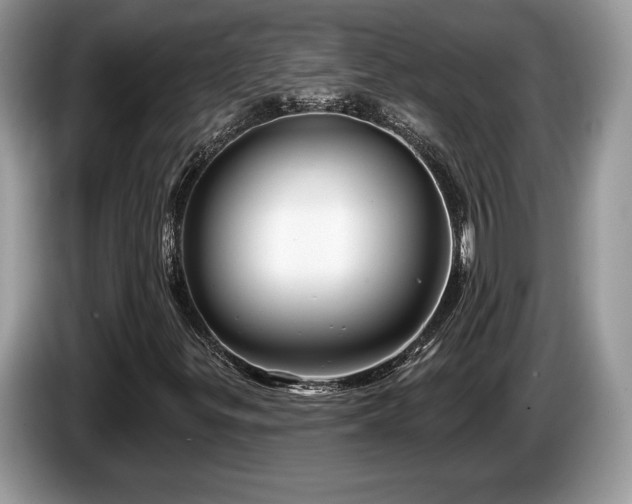 X0000087611299200704271333