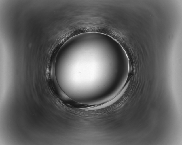 X0000087611300200704271333