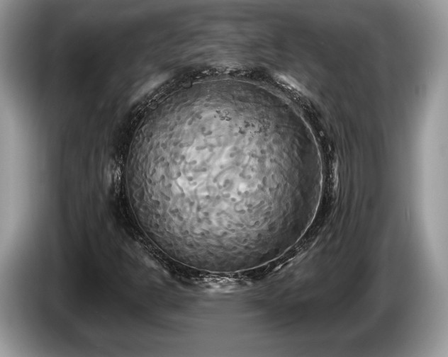 X0000087611302200704271333