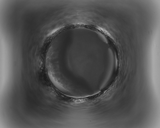 X0000087611303200704271333