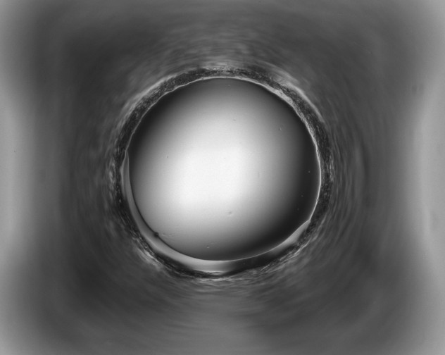 X0000087611304200704271333