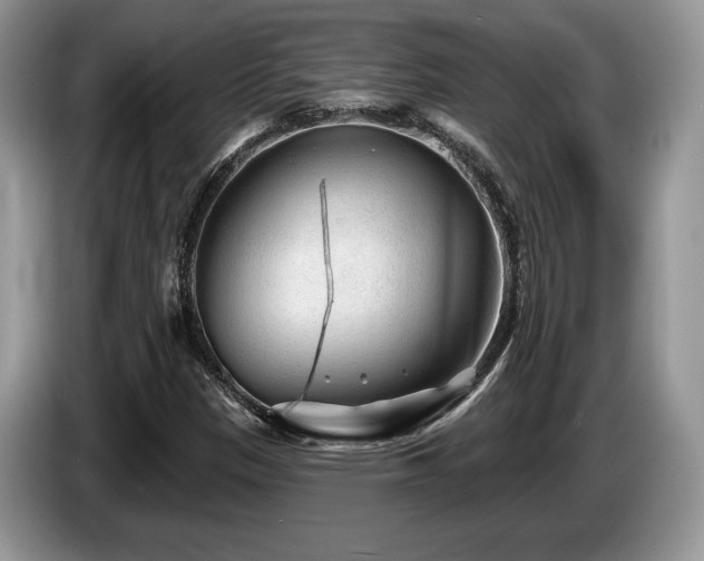 X0000087611305200704271333