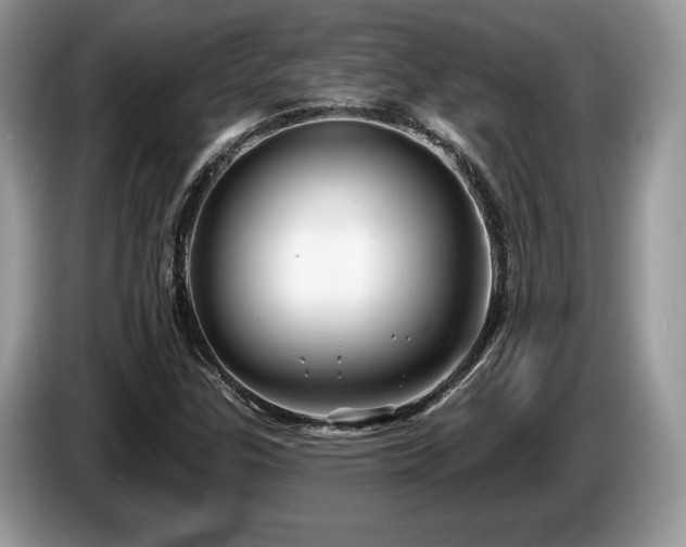 X0000087611307200704271333