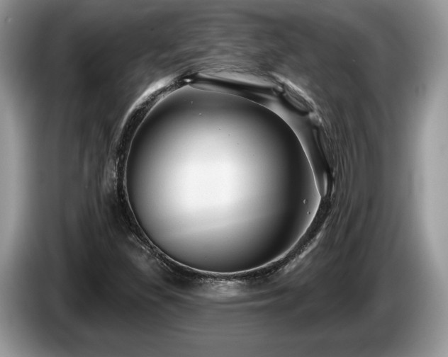 X0000087611309200704271333