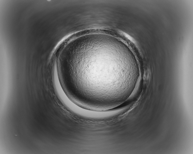 X0000087611310200704271333
