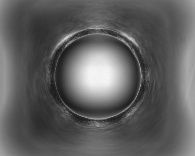 X0000087611311200704271333