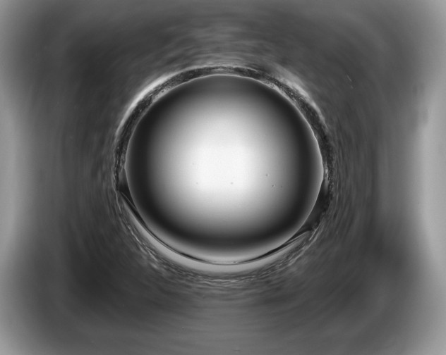 X0000087611312200704271333