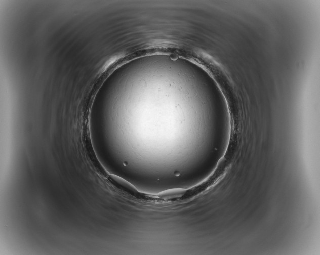 X0000087611313200704271333