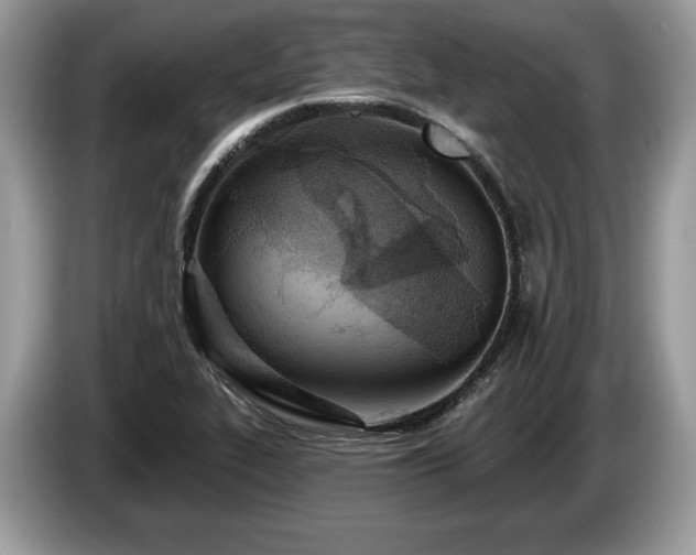 X0000087611319200704271334