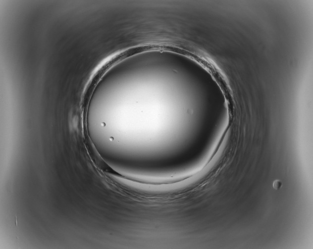 X0000087611320200704271334