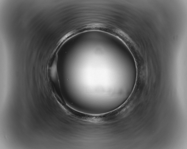 X0000087611321200704271334