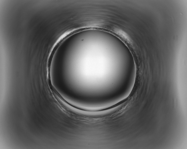 X0000087611324200704271334