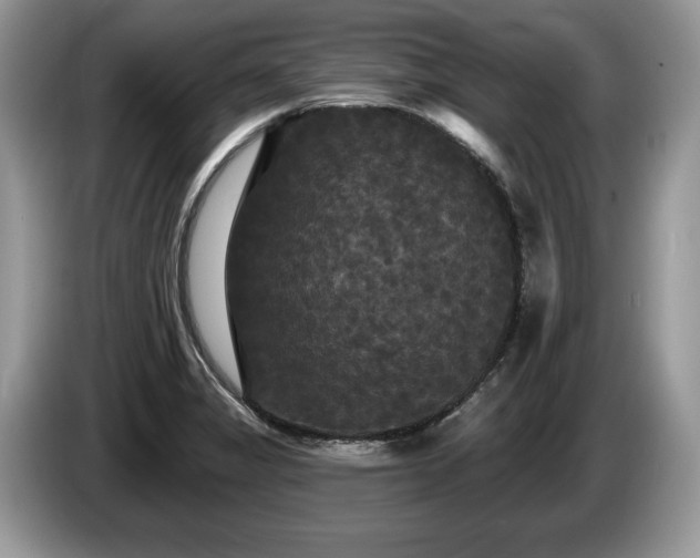 X0000087611325200704271334