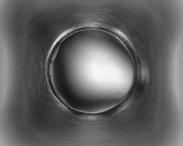 X0000087611326200704271334