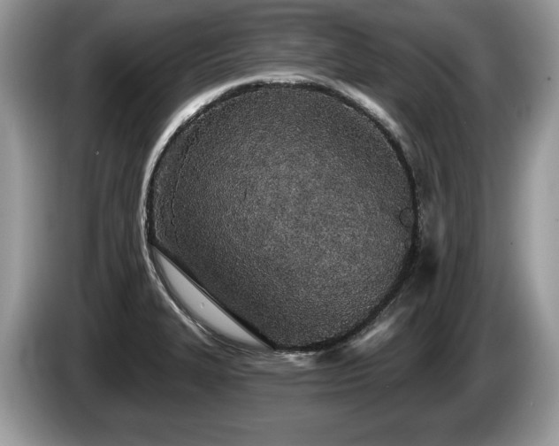 X0000087611327200704271334
