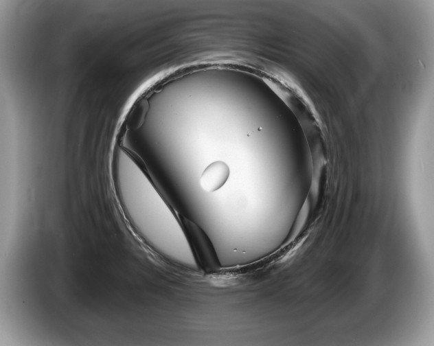 X0000087611328200704271334