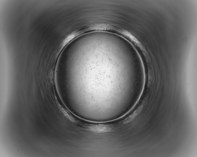 X0000087611329200704271334