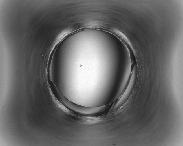 X0000087611330200704271334
