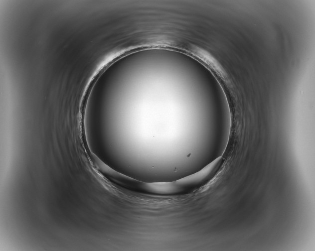 X0000087611332200704271334