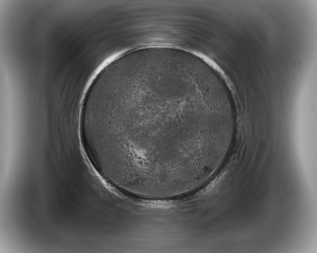 X0000087611333200704271334