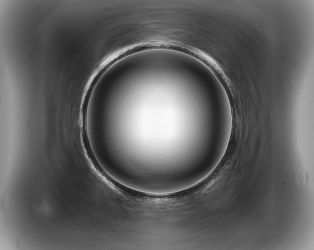 X0000087611335200704271334