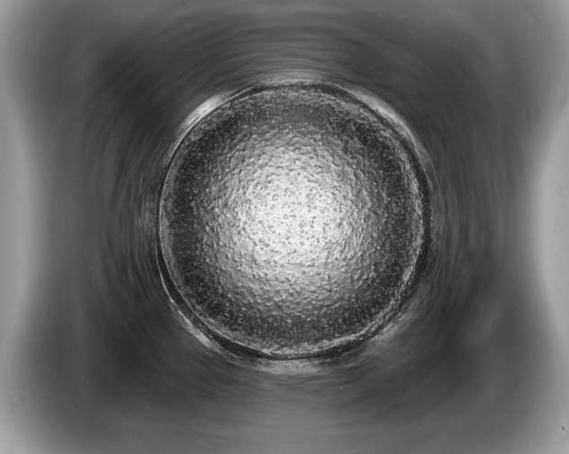 X0000087611337200704271334