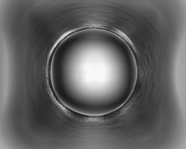 X0000087611339200704271334