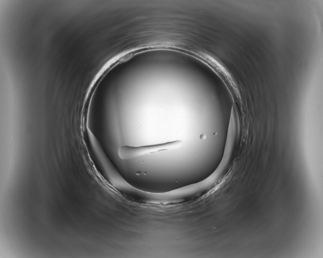 X0000087611340200704271334