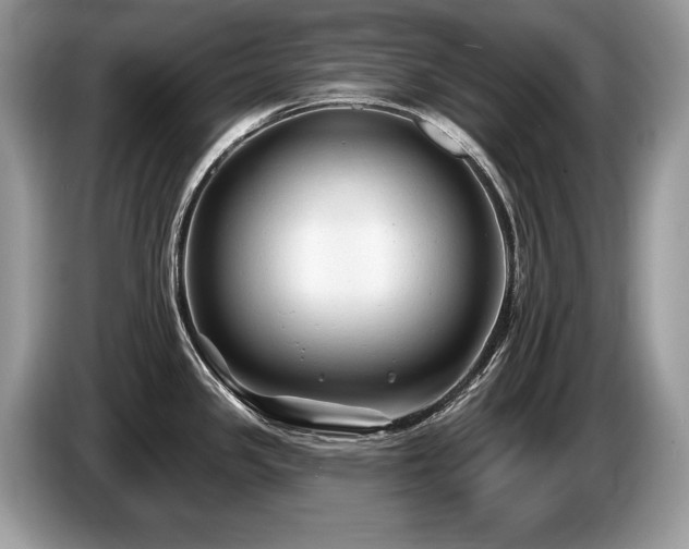 X0000087611341200704271334