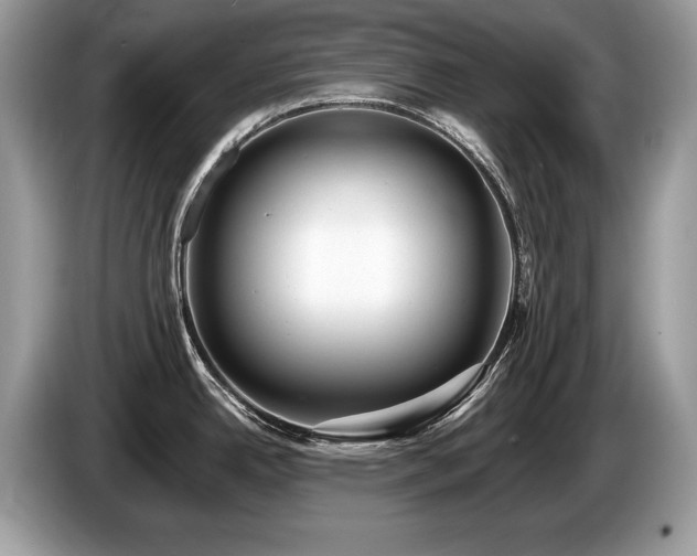 X0000087611342200704271334