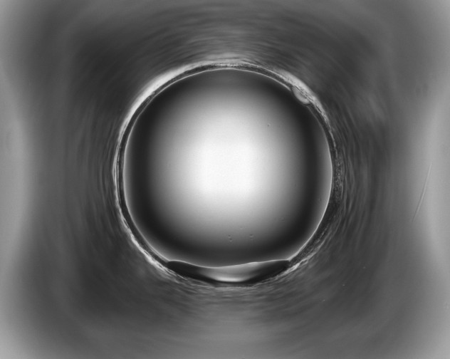 X0000087611343200704271334