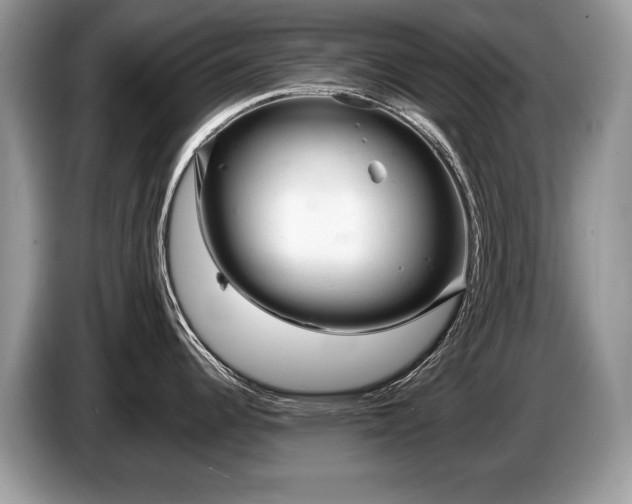 X0000087611344200704271334