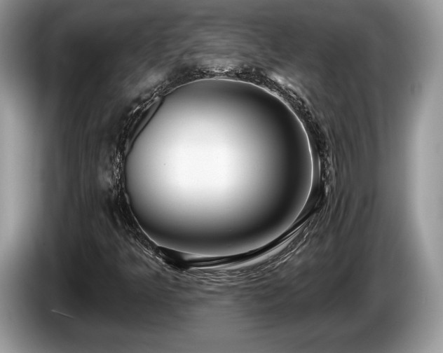 X0000087611349200704271333