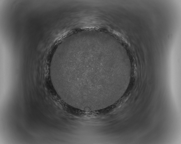 X0000087611350200704271333
